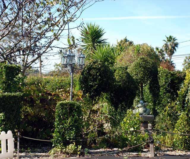 Un jardín con una valla blanca y muchos árboles.
