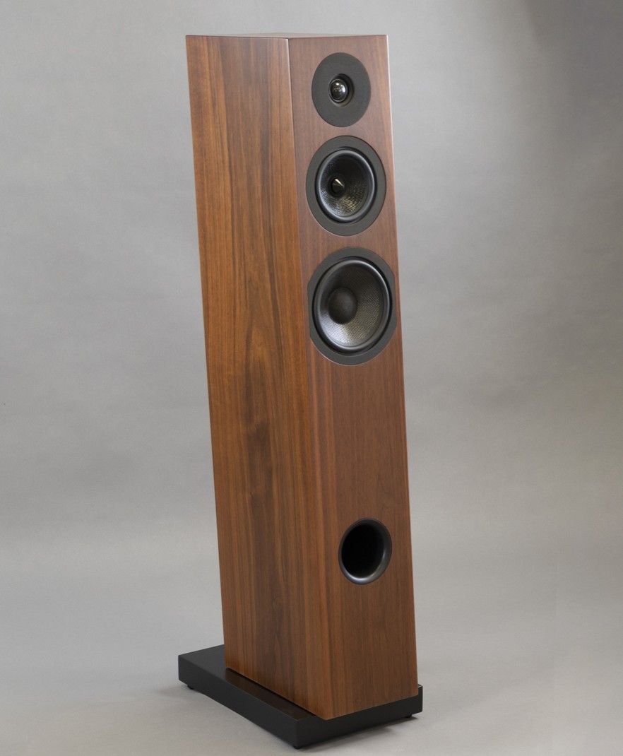 Enceinte colonne avec une façade en bois