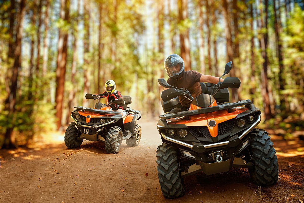 Deux hommes qui font du quad en forêt