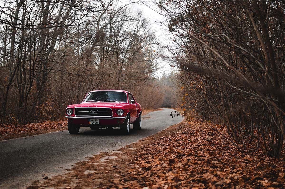 Ford Mustang rouge qui roule dans les bois