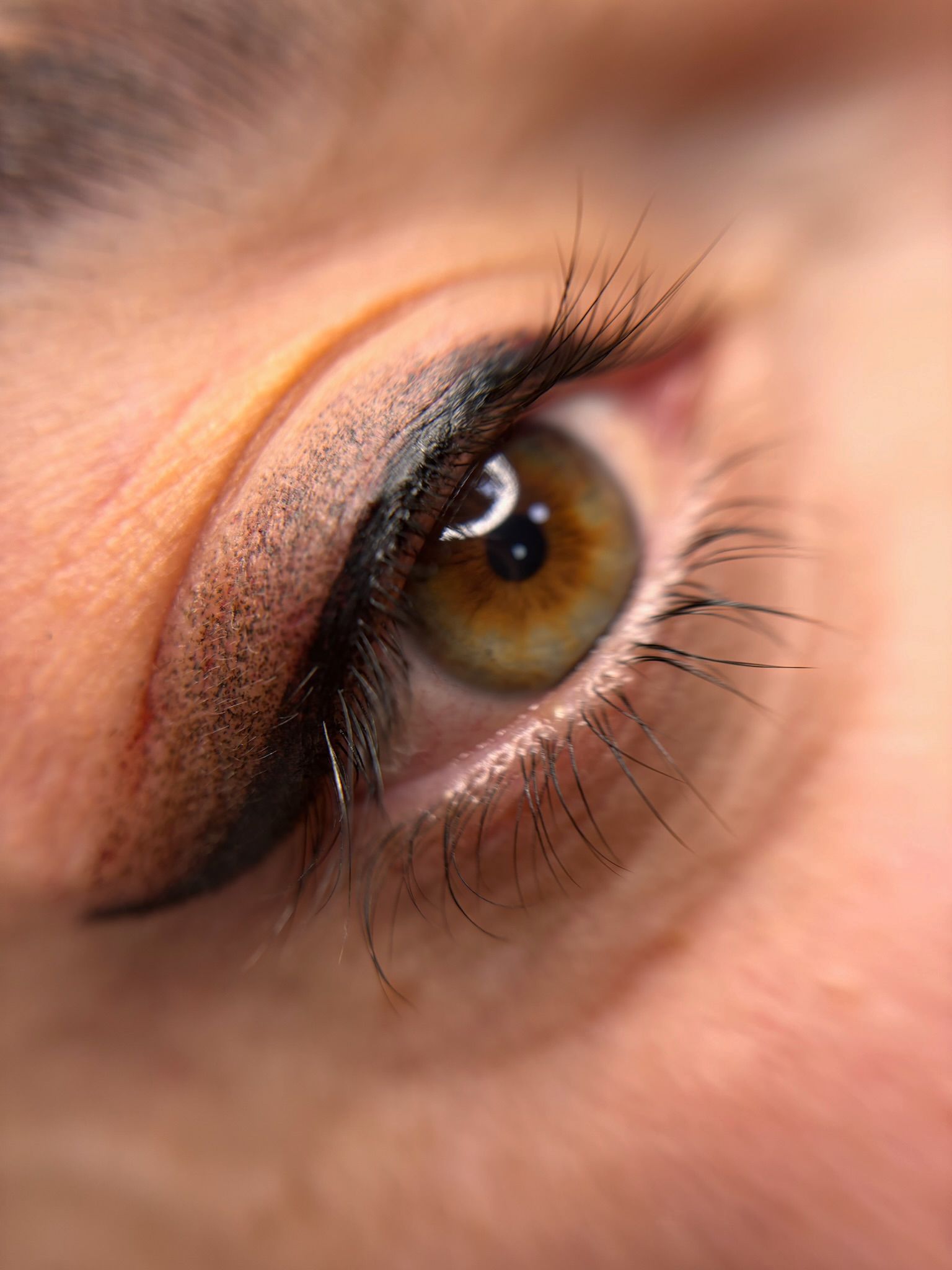 Primer plano de un ojo con delineador oscuro, iris marrón y pestañas largas.