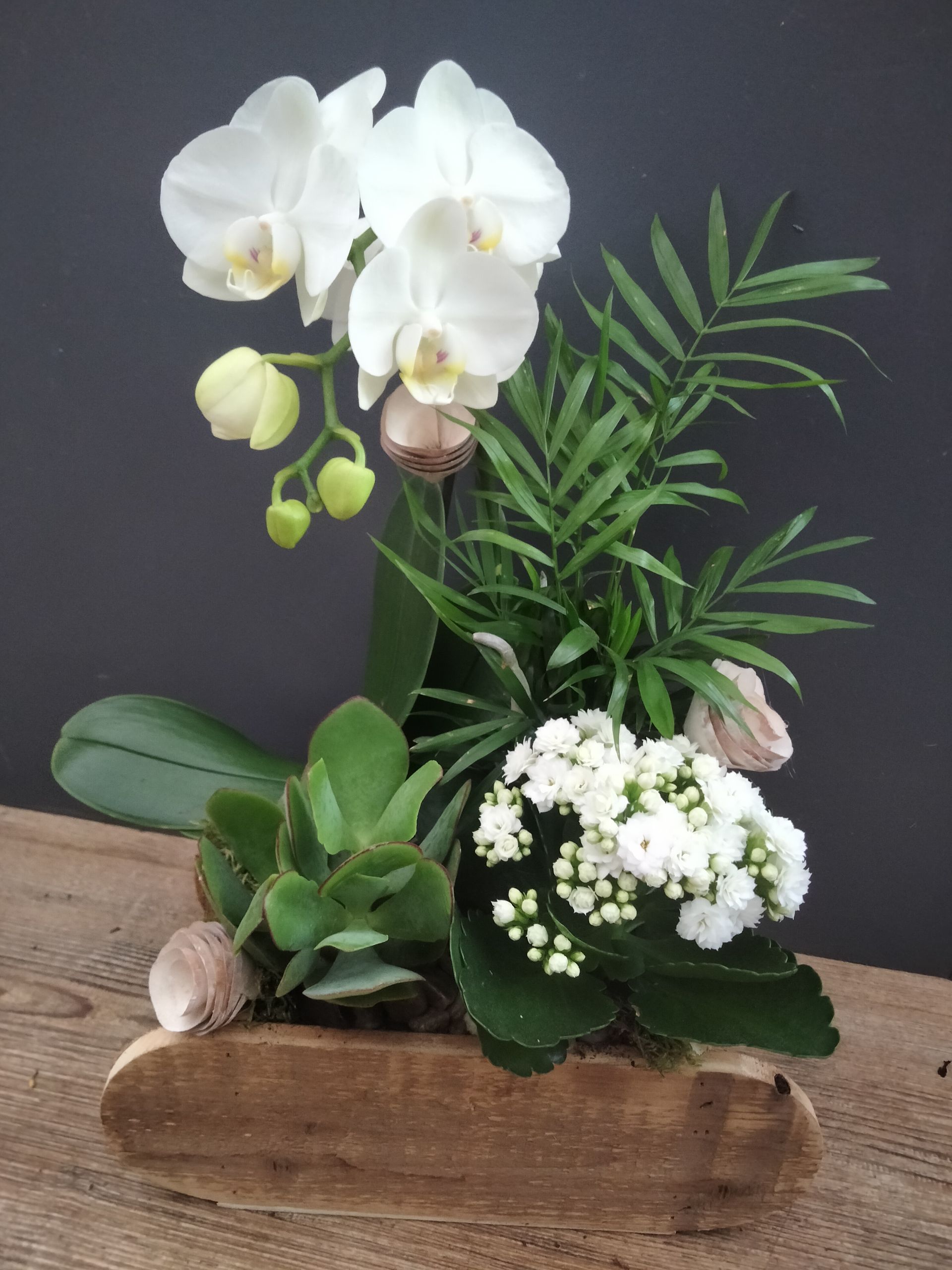 Un arrangement floral en bois composé d'une orchidée blanche, de petites fleurs blanches, d'un palmier vert et de plantes succulentes.