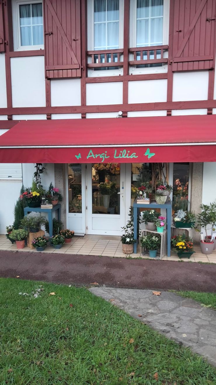 Une boutique de fleurs avec un auvent rouge portant l'inscription « Angi Lilia », présentant des plantes en pot exposées à l'extérieur d'un bâtiment à colombages.
