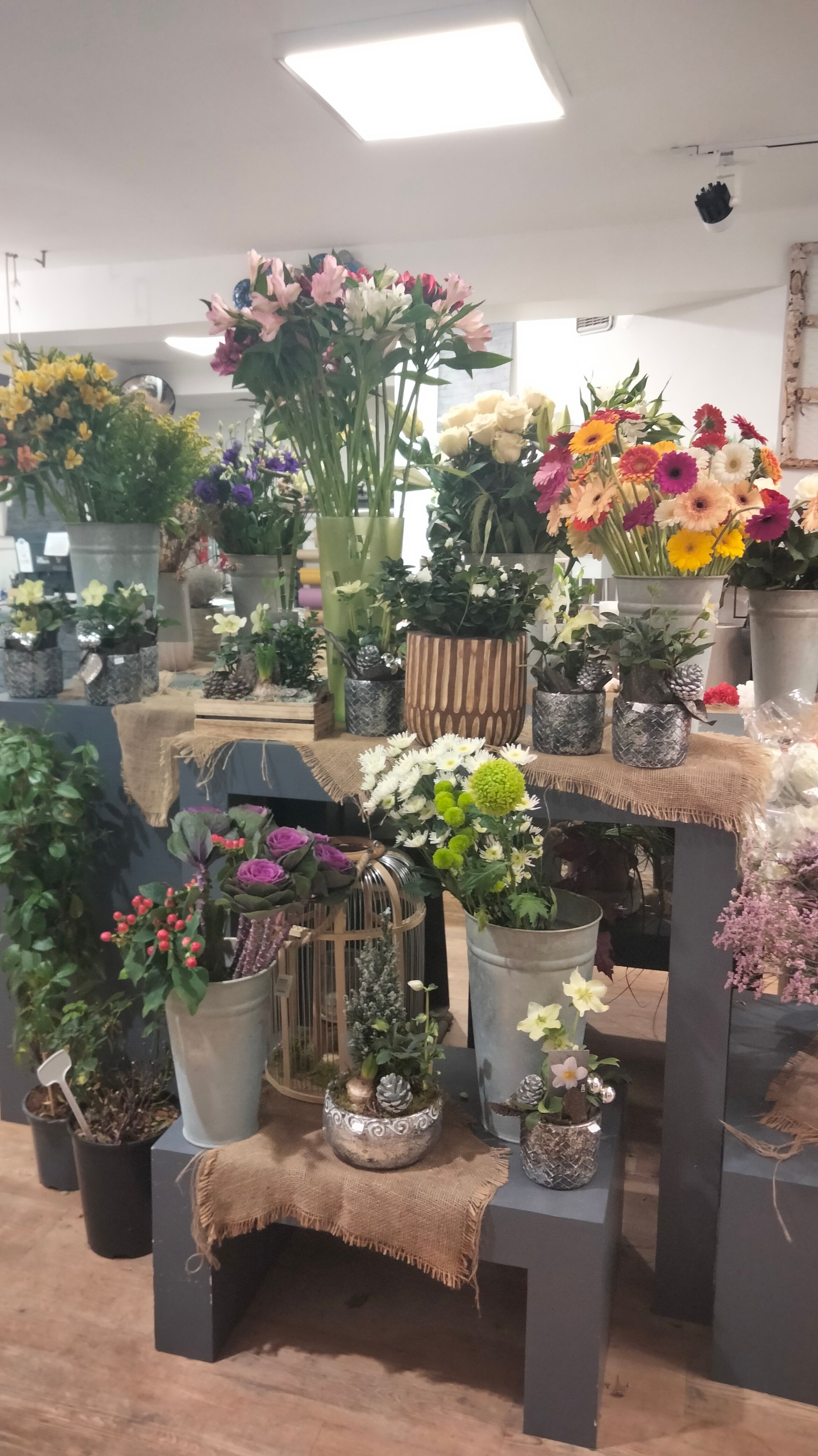 Une vitrine de fleuriste présentant diverses plantes en pot et des bouquets de fleurs colorées disposés sur des étagères en bois.