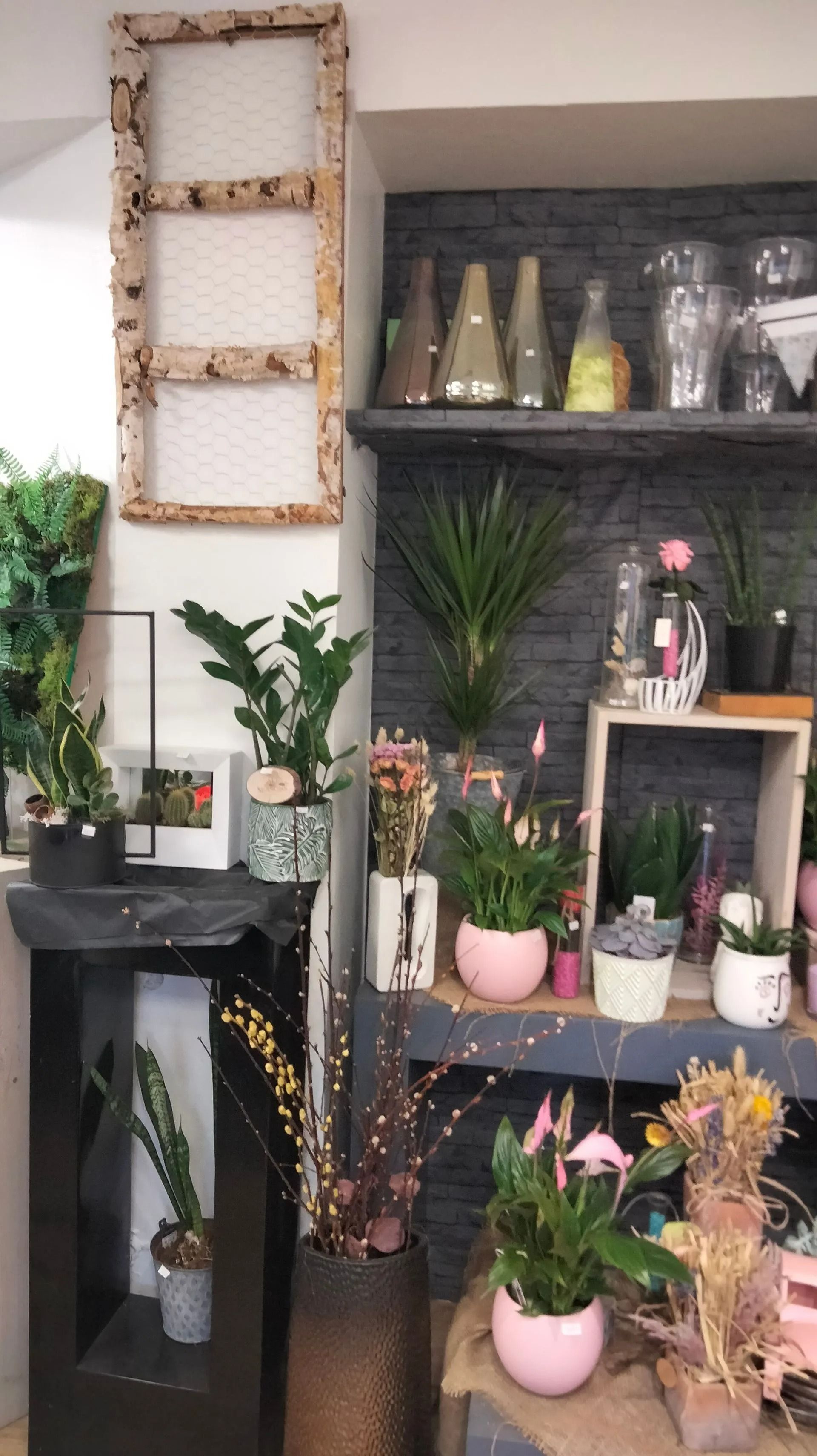 Diverses plantes en pot et vases sont disposés sur des étagères dans une boutique de fleurs, avec un fond en briques.