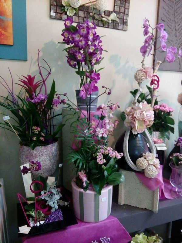 Une présentation de diverses compositions florales en pot avec des orchidées et des plantes violettes, roses et blanches sur un fond magenta.
