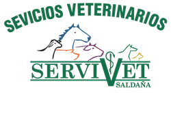 A logo for servicios veterinarios 24h servivet