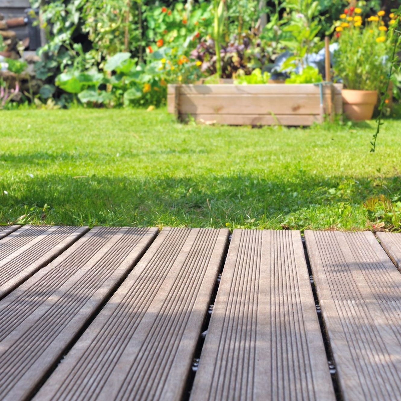 Terrasse en bois