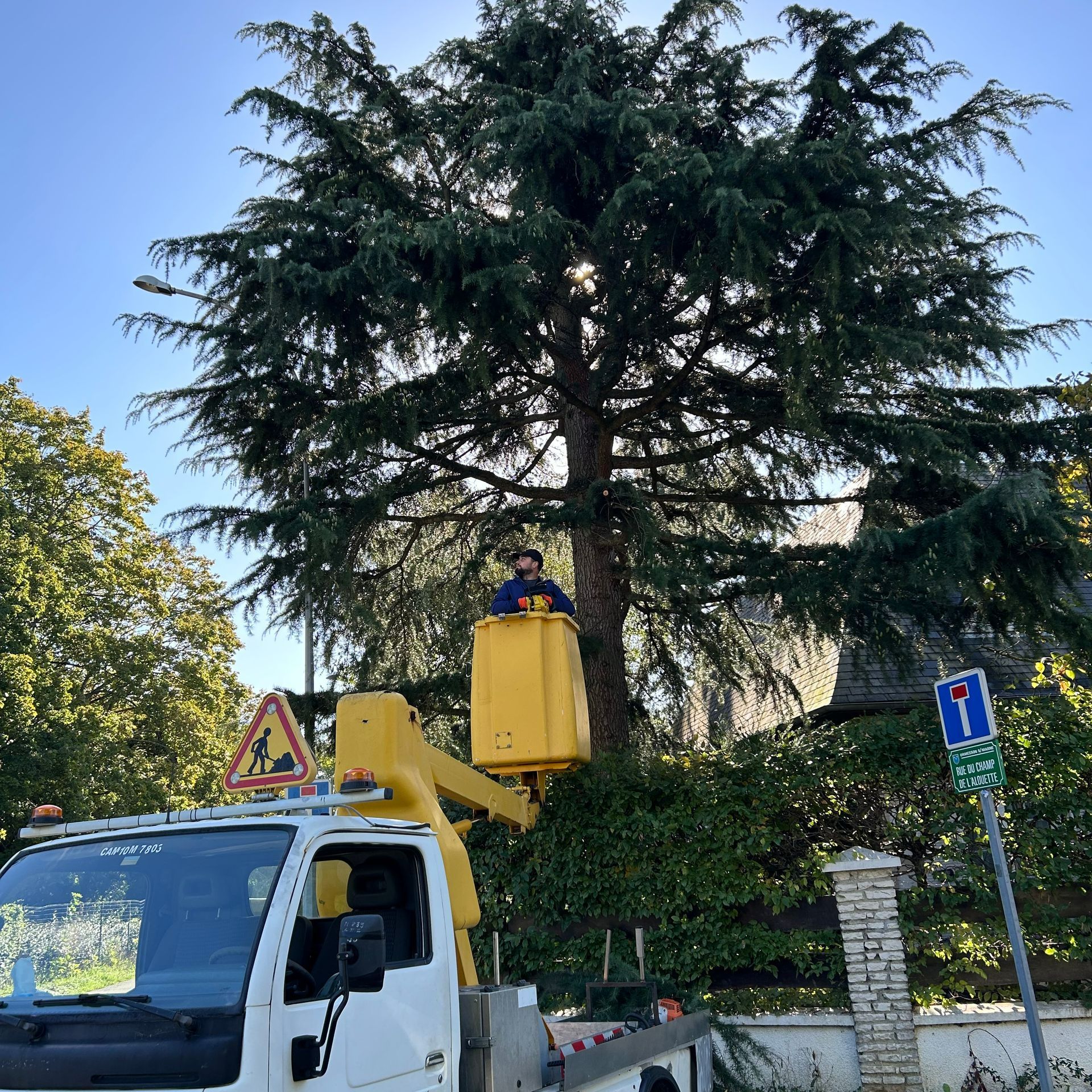 Élagueur dans la nacelle du camion