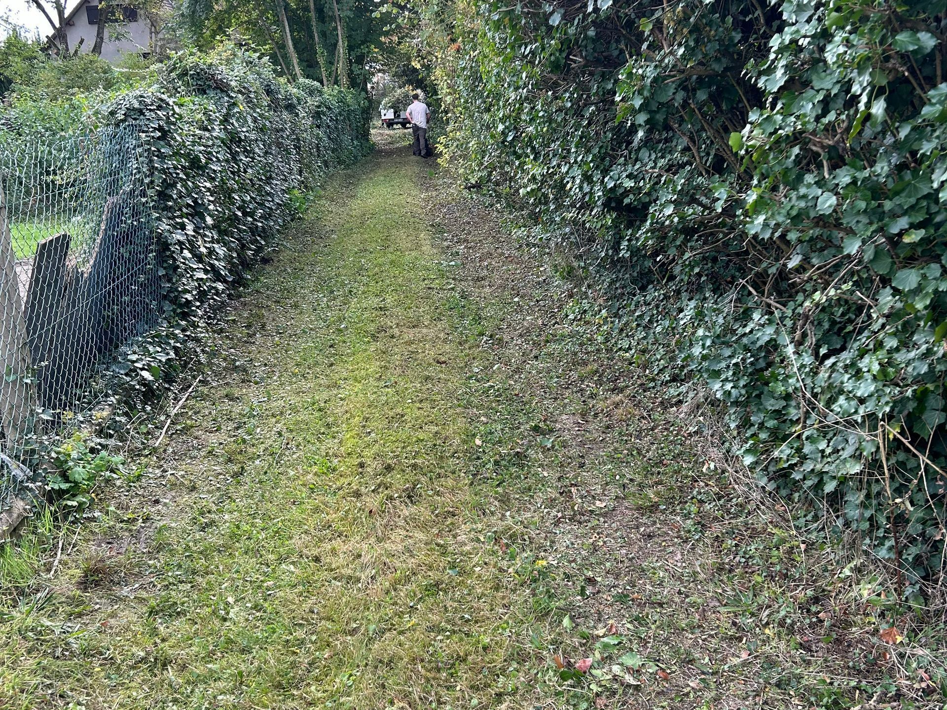 Chemin rural avant nettoyage