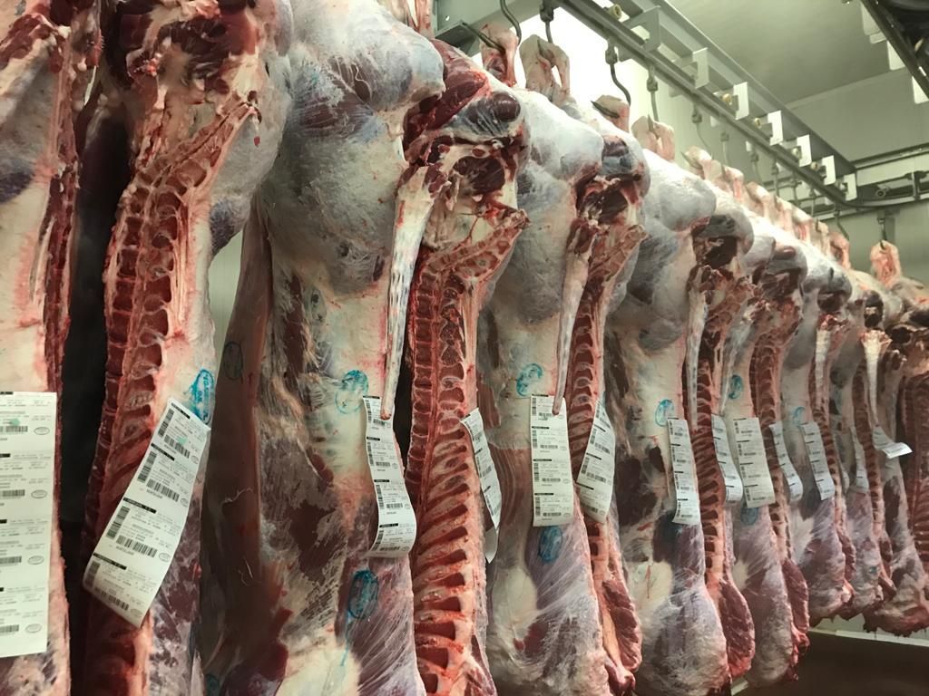 Una fila de carne colgando de ganchos en una carnicería.