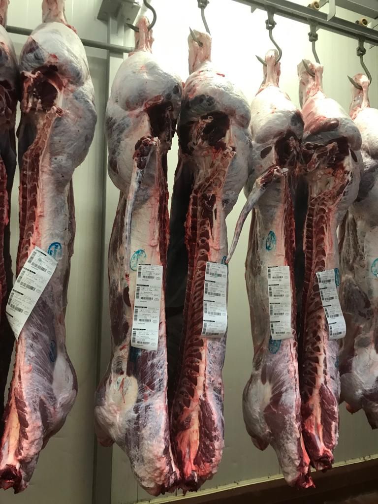 Un montón de carne colgando de ganchos en una habitación.