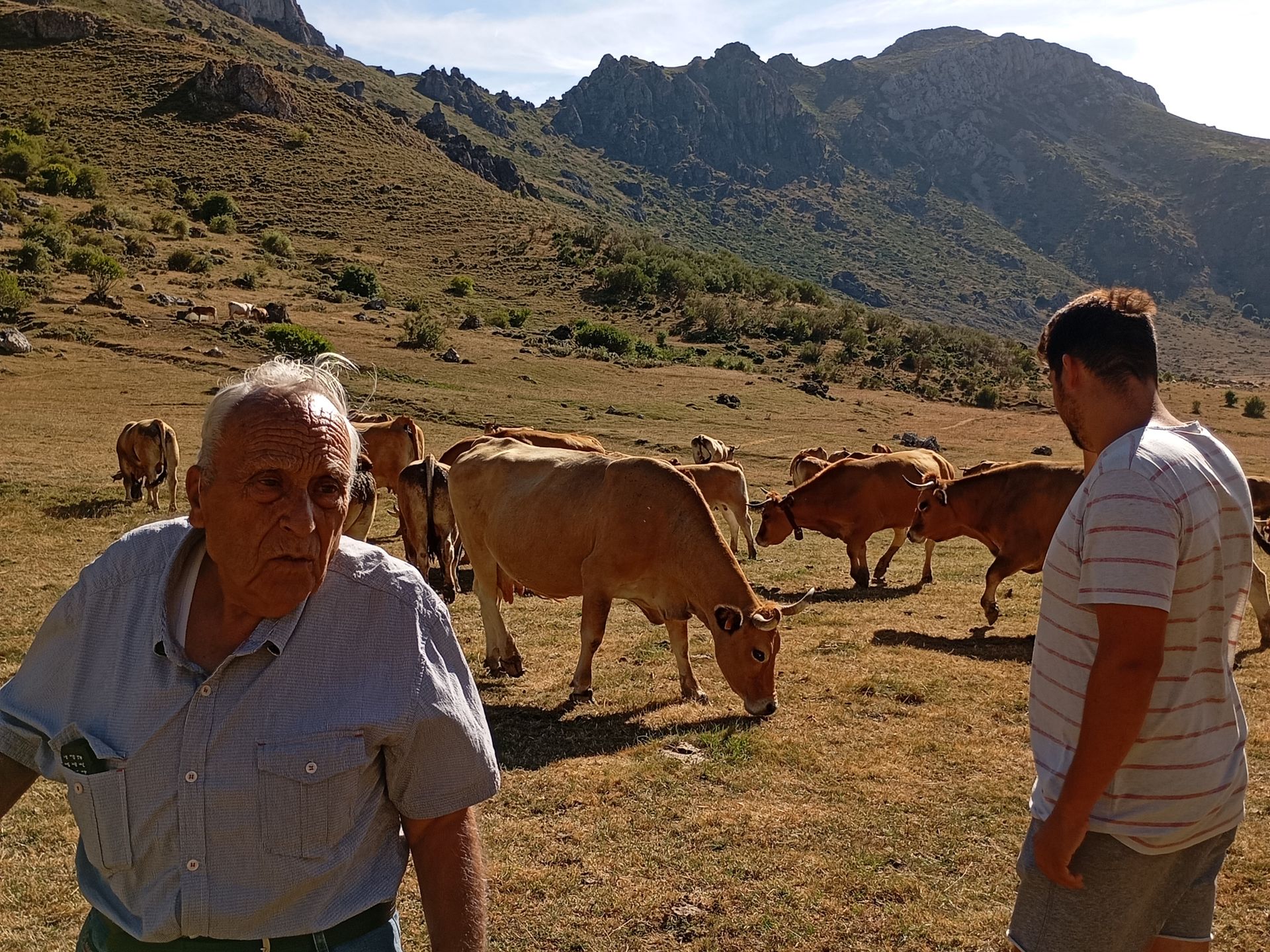 Dos hombres están de pie en un campo con vacas y montañas al fondo.