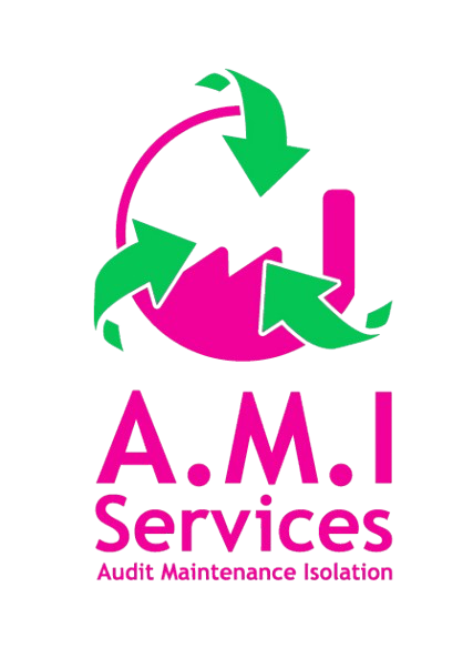Logo AMI services 