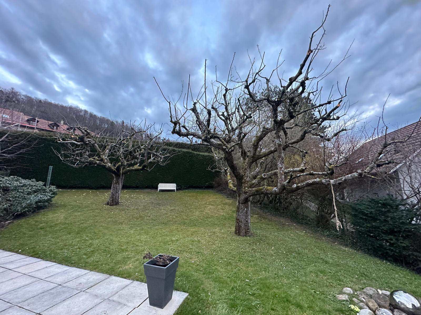 Un jardin arboré et un patio au premier plan et un ciel nuageux en arrière-plan.