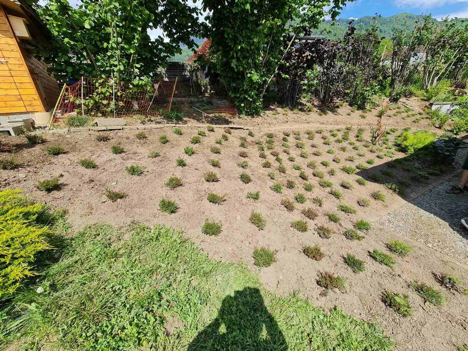 L'ombre d'une personne est projetée sur le sol dans un jardin.