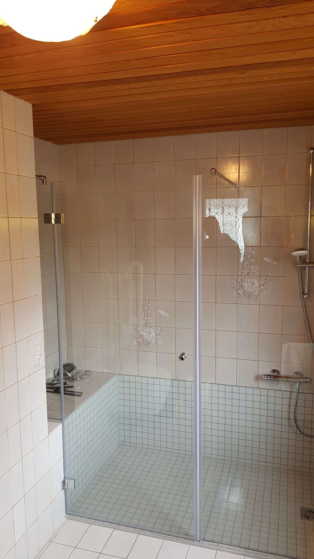 Duschabtrennung aus Glas