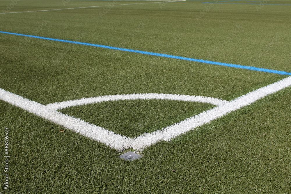 Rasenmarkierfarbe - Coverplast AG - Goldach