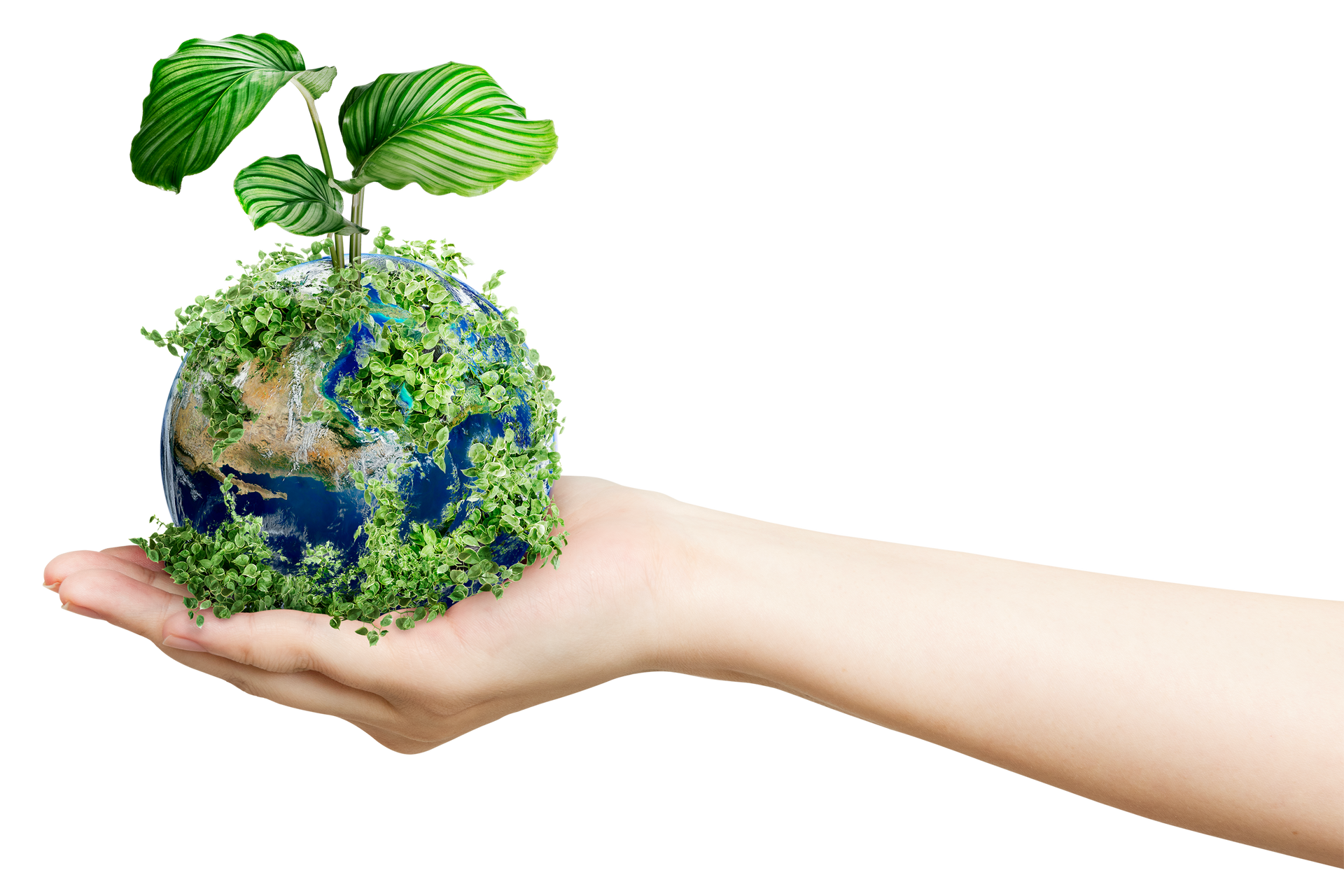 Main qui tient une planète dans la main