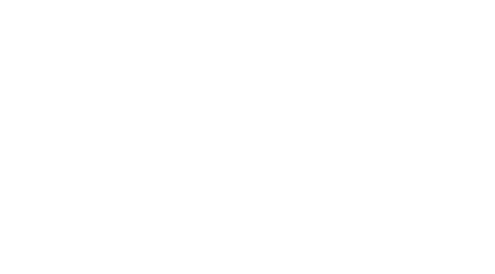 Blank white rectangle with a thin gray line near the bottom on a plain white background