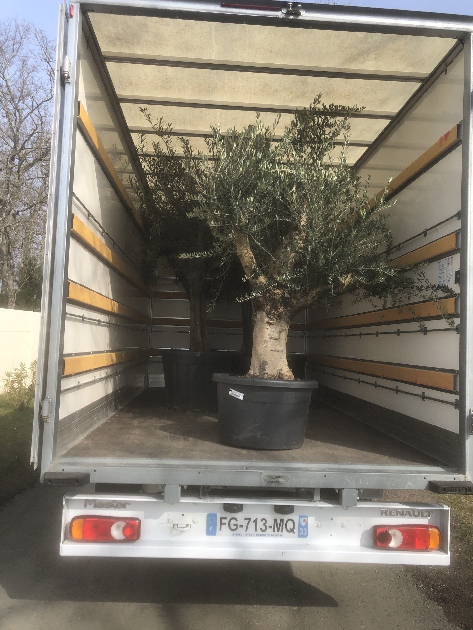 Arbres en pot dans poids lourd