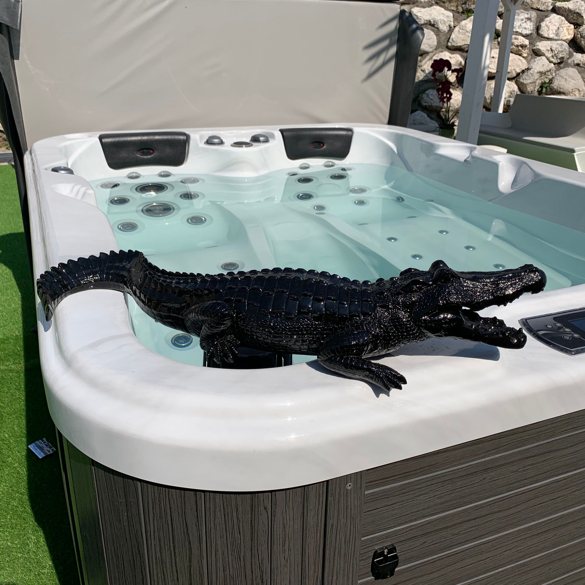 Statue d'alligator noir dans un bain à remous.