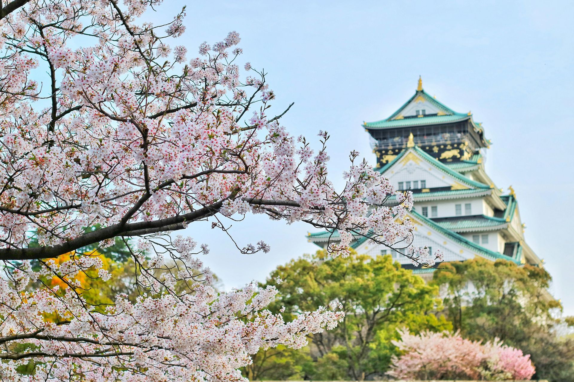 A castle with cherry blossoms in front of it