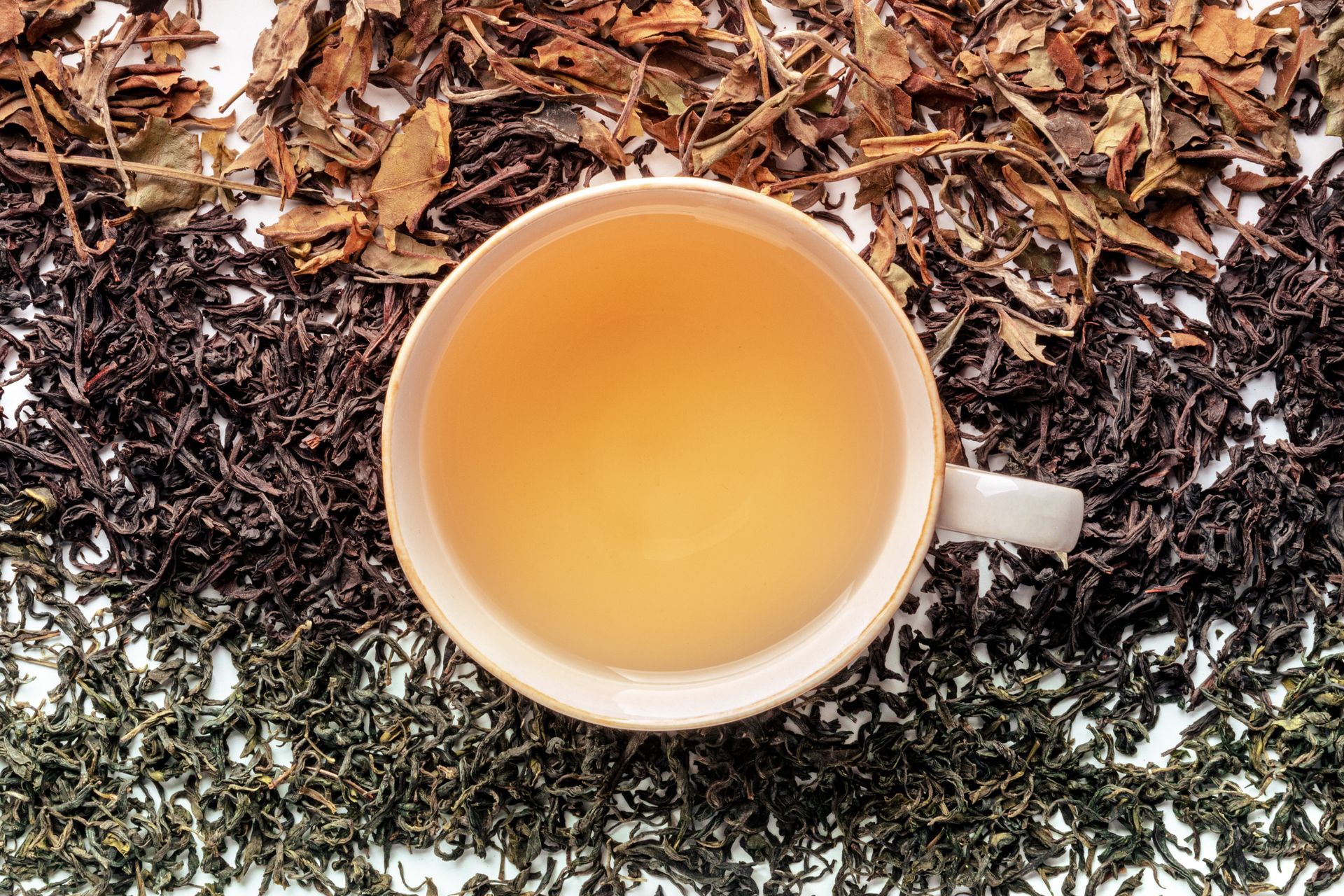 Une tasse de thé avec trois types de feuilles de thé vert, de thé noir et d'infusion sur fond blanc.