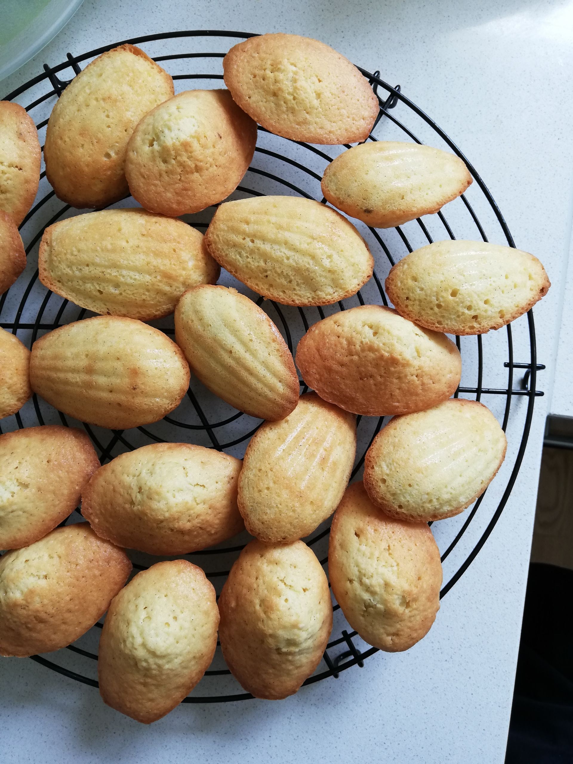 Madeleines sur une grille de refroidissement noire, fraîchement cuites avec un extérieur doré.