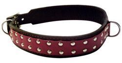 Hundehalsband - Atelier Eve in Effretikon