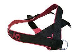 Hundegeschirre - Atelier Eve in Effretikon