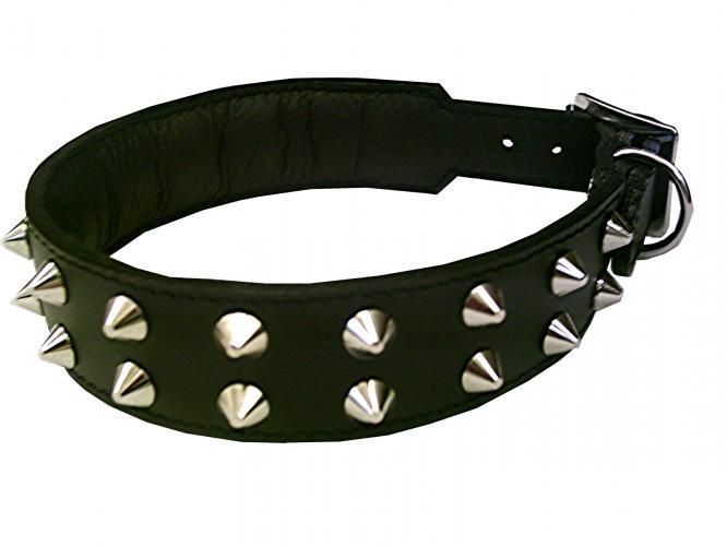 Nietenhalsband - Atelier Eve in Effretikon