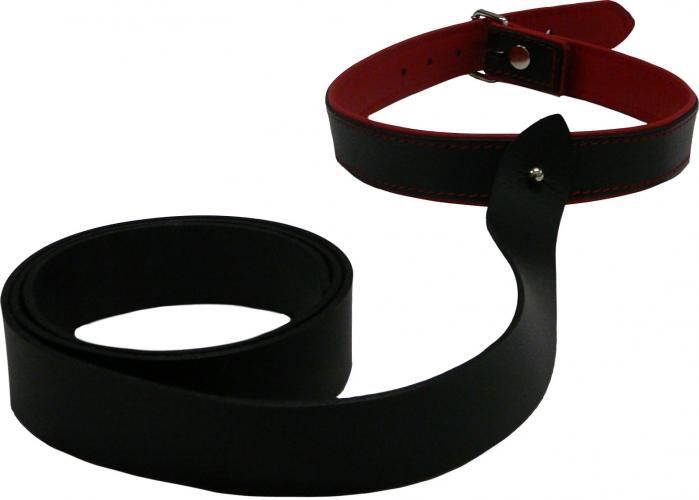 Lederhalsband mit Befestigungsriemen - Atelier Eve in Effretikon