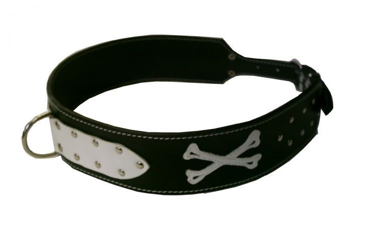 Flachhalsband mit Nieten - Atelier Eve in Effretikon