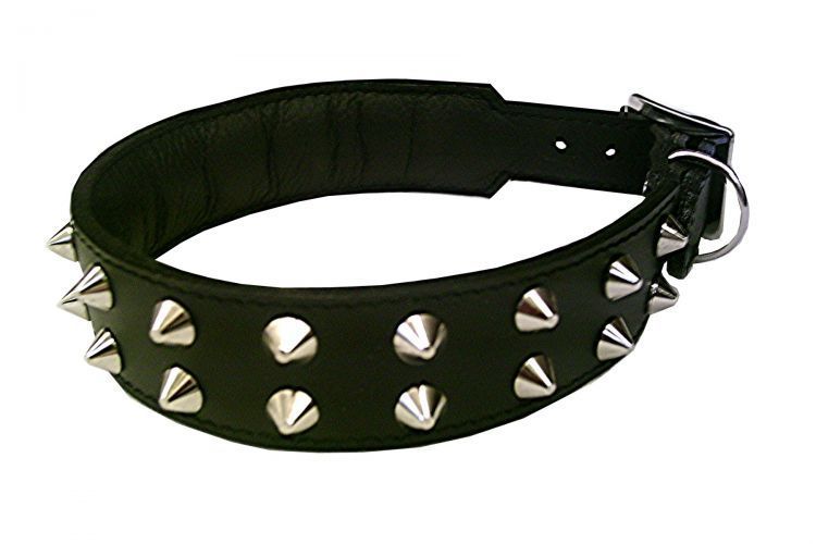 Flachhalsband mit Nieten - Atelier Eve in Effretikon