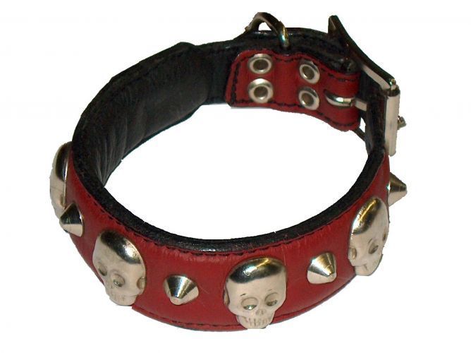 Flachhalsband mit Nieten - Atelier Eve in Effretikon