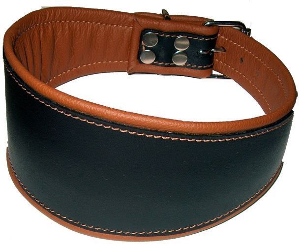 Flachhalsband - Atelier Eve in Effretikon