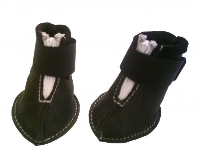 Hundeschuhe - Atelier Eve in Effretikon