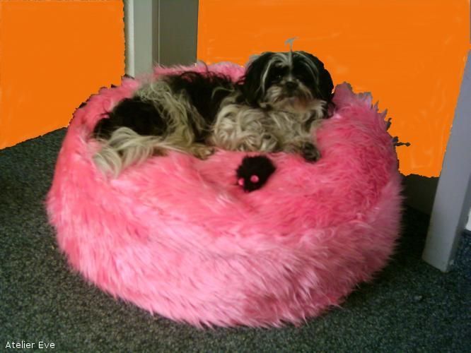 Hundekissen - Atelier Eve in Effretikon