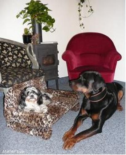 Hundebett - Atelier Eve in Effretikon