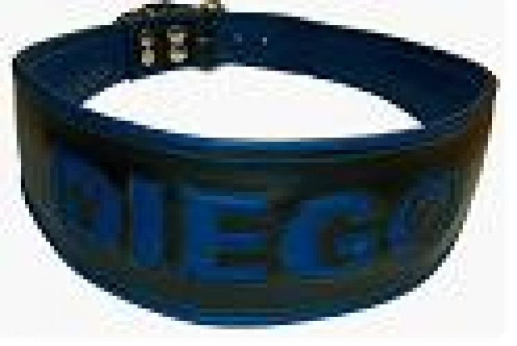 Halsband Hund - Atelier Eve in Effretikon