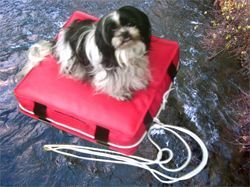 Schwimmkissen für Hunde - Atelier Eve in Effretikon