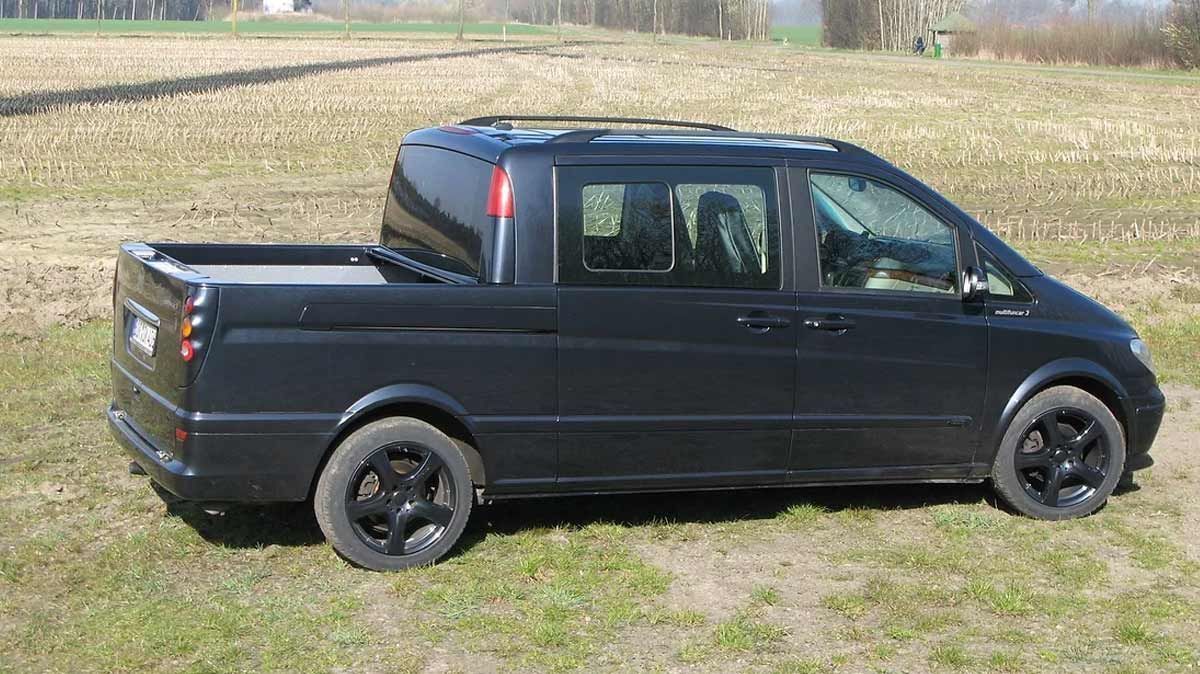 Ein schwarzer Lieferwagen mit Ladefläche ist auf einer Wiese geparkt.