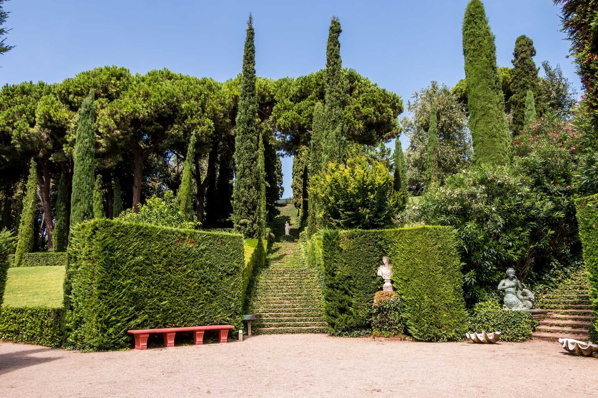 Un parc rempli de nombreux arbres et buissons