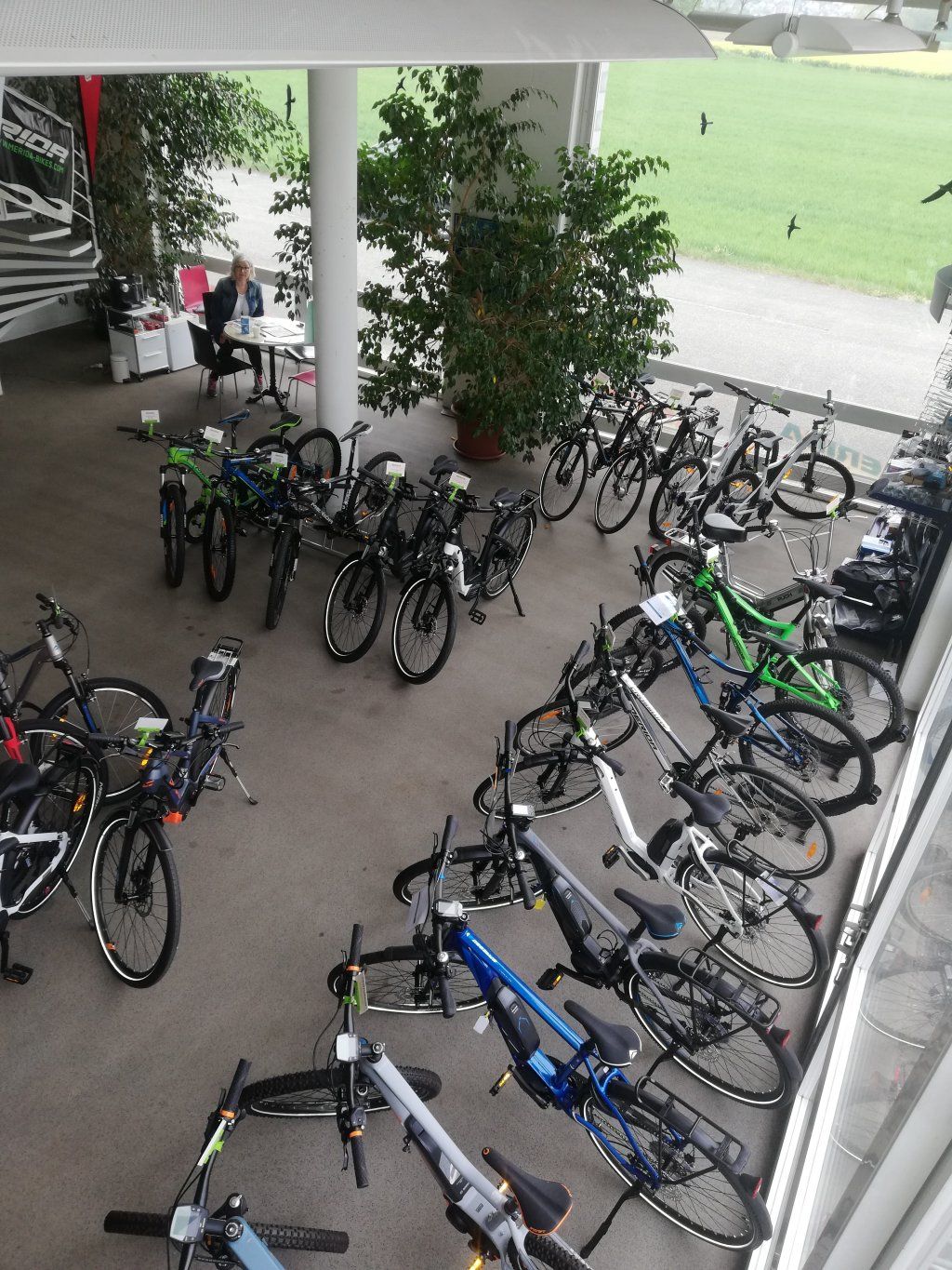 Velo Werkstatt Marius Ackermann