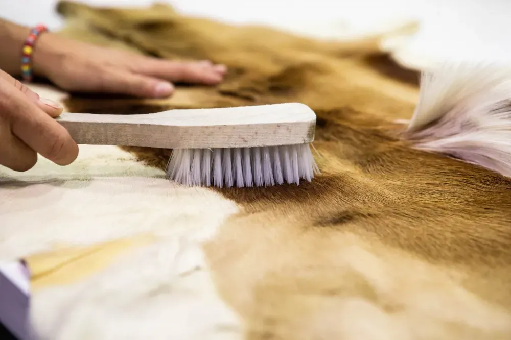 Manos ajustando el cuello de una camisa de vestir blanca.