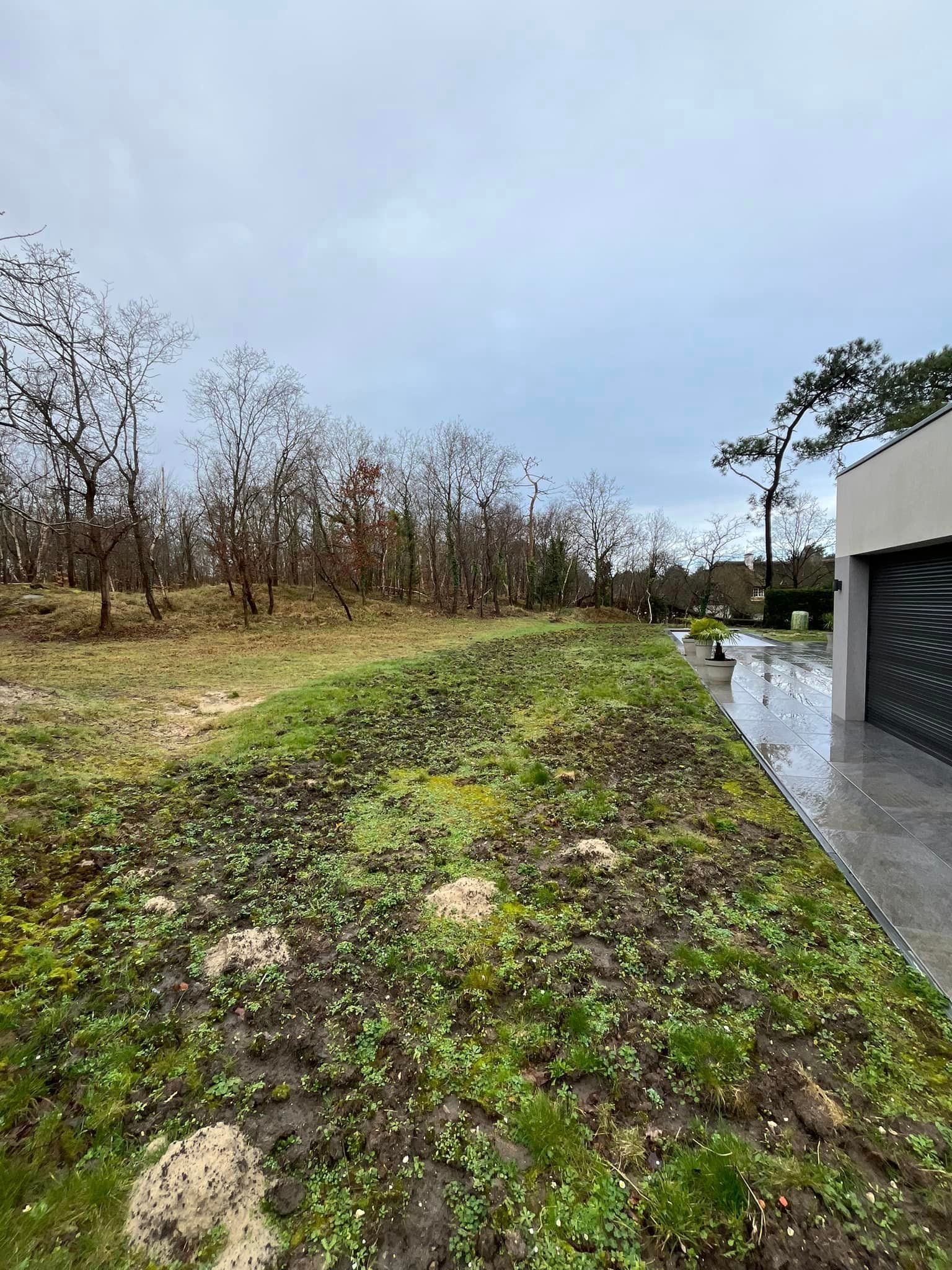 Terrain avant l'aménagement