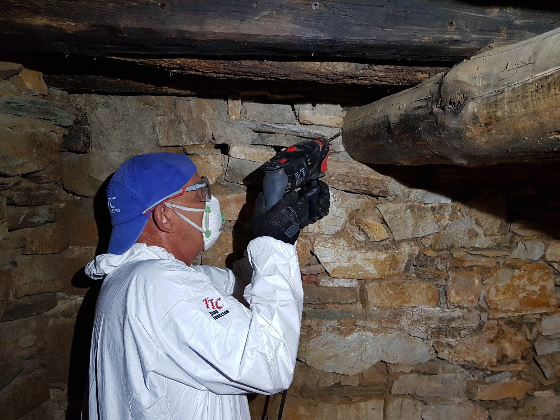 Artisan effectuant des travaux de désinsectisation