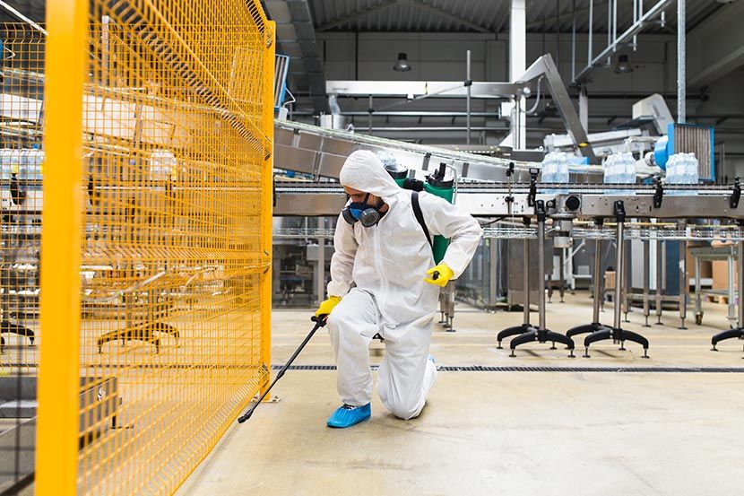 Dératisation dans une usine