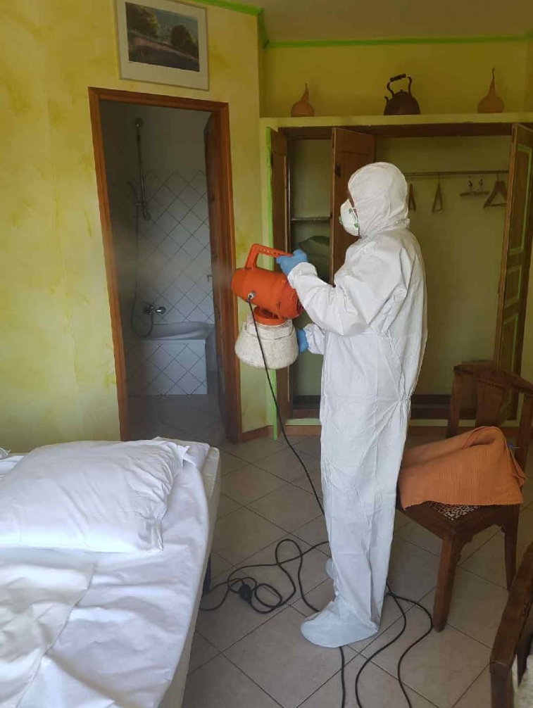 Désinsectisation dans un logement par notre entreprise